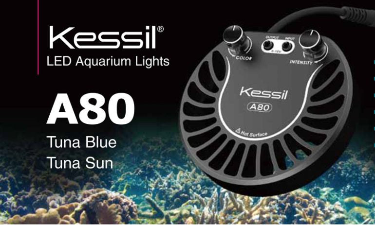 KESSIL A80 has finally landed in Singapore! | Fresh N Marine