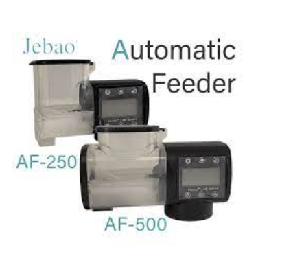 Marine 2024 auto feeder