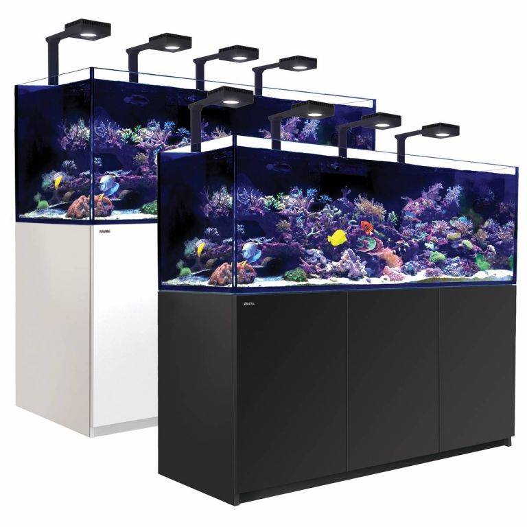 160 clearance gallon aquarium