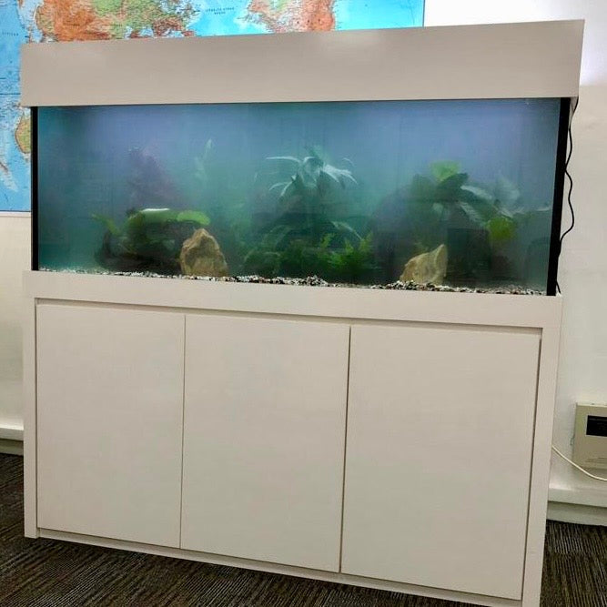 FNM Customised Tank, Sump & Cabinet (4ft to 6ft length options) - Fresh N Marine