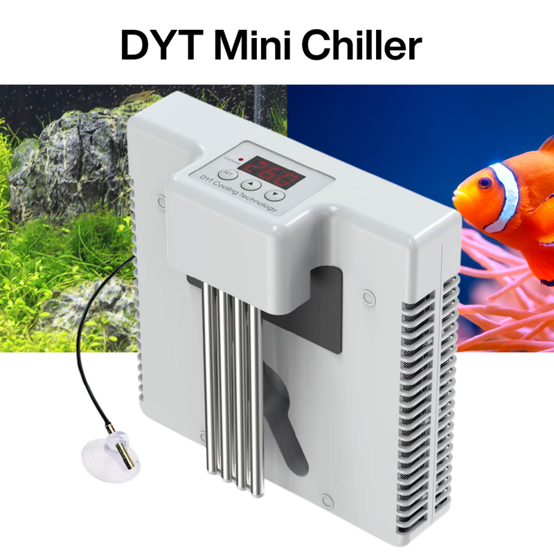 DYT Mini Chiller for up to 30L (No Installation needed)