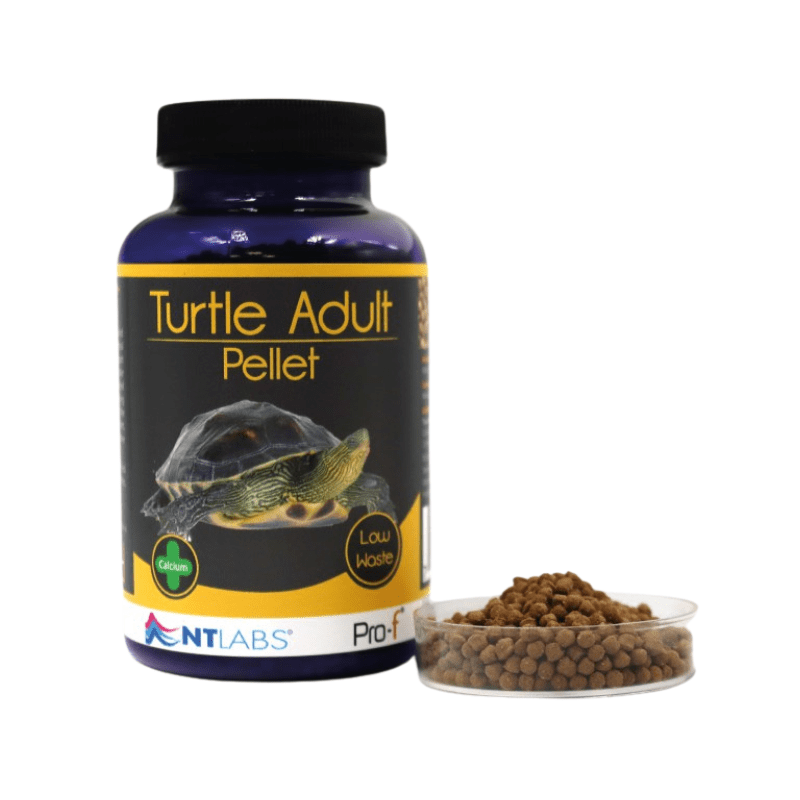 NT LABS Pro-f Turtle Junior/Adult - 45g/120g