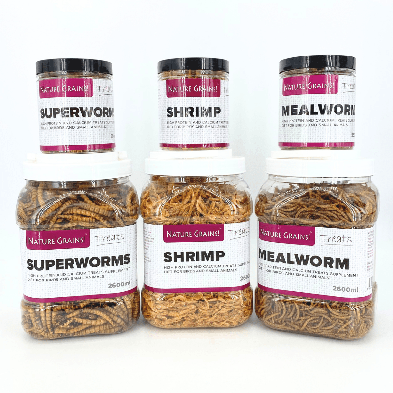 Nature Grains! Superworms 550ml/2600ml