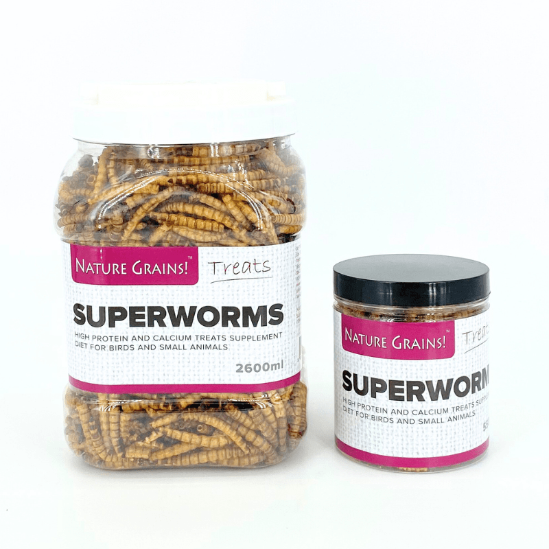 Nature Grains! Superworms 550ml/2600ml