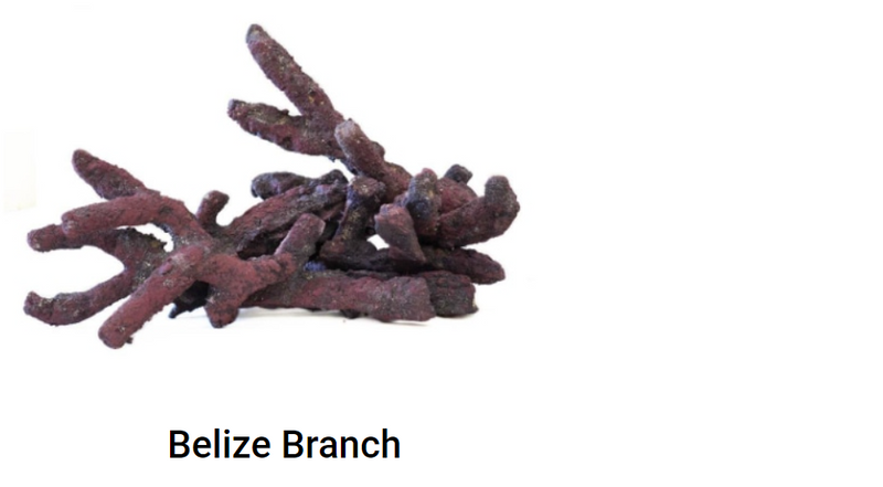 Caribsea Belize Branch  (20lbs )