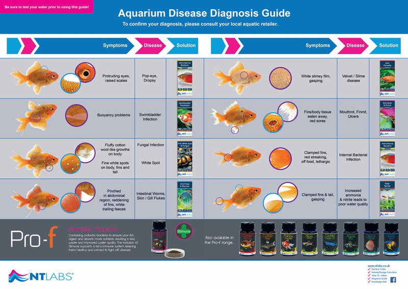 NT LABS Aquarium Swimbladder Treatment (treat fish buoyancy disease)