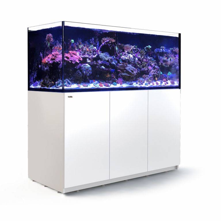 Red Sea REEFER G2 625 System 166 Gallon - Fresh N Marine