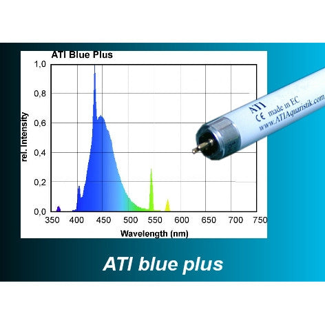 ATI Blue Plus T5 HO - Fresh N Marine