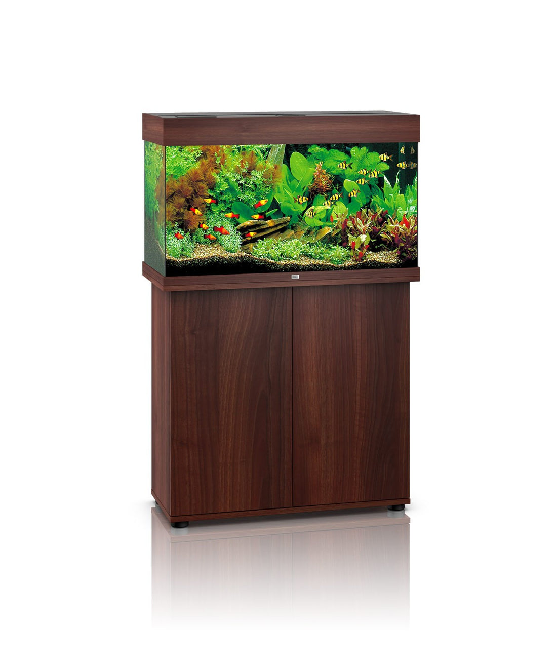 Aquarium Juwel shops 125 Liter